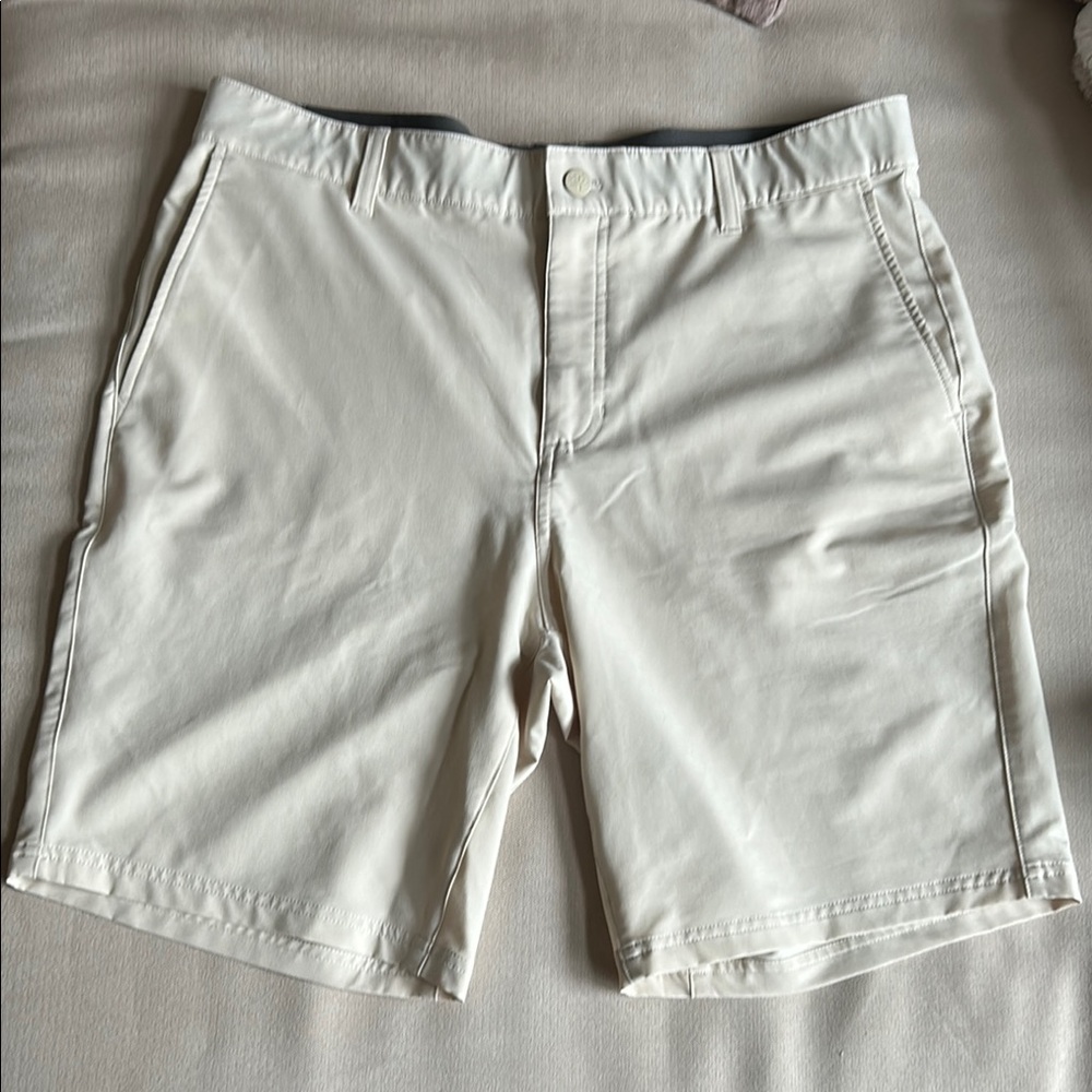 SOYBU Men's Coastal Classic Beige Flat Front Shorts Size 34